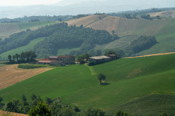 Fototapeta na wymiar Country landscape near Medesano, Parma, at summer