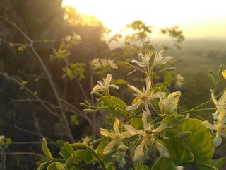 sunrise in the mountains