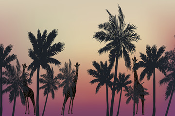 Obraz na płótnie Canvas Sunset background with palm trees and giraffes. Vector illustration. Tropical evening in jungle