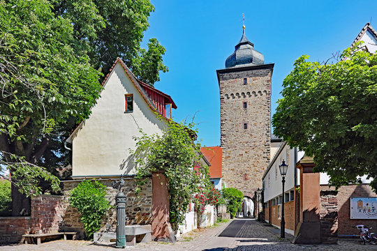 "Basler Bilder – Durchsuchen 1,386 Archivfotos, Vektorgrafiken und ...