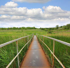 Fototapeta na wymiar old steel foot bridge over reed-covered river