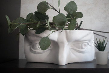 green plant on white statue