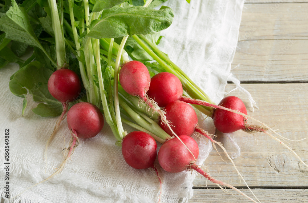 Wall mural a bunch of ripe red radishes on a wooden background.