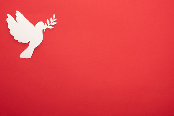 top view of white dove as symbol of peace on red background