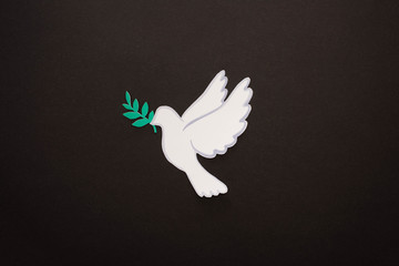 top view of white dove as symbol of peace on black background