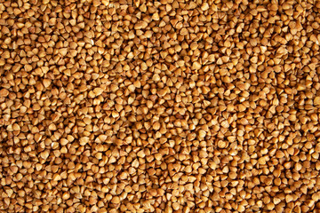 Background of buckwheat groats texture