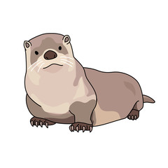 カワウソ