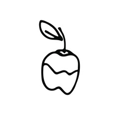 handwritten vector apple with one leaf on a white background. 