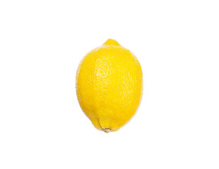 Lemon fruit Yellow with water drops on a white background isolate.