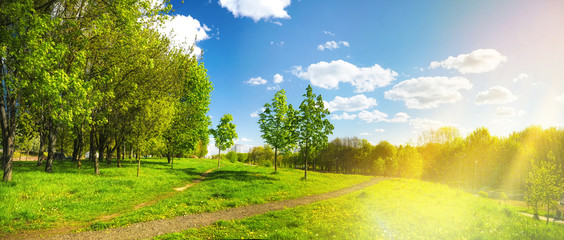 Beautiful bright colorful summer spring landscape with trees in Park and path, juicy fresh green...
