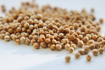 Coriander is used as a spice in cooking and to give a pleasant aroma in perfumes, cosmetics, soap making. 