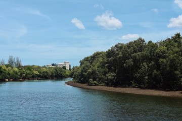 Landscape river and old castle.