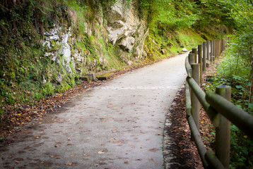 camino rio, asturias españa