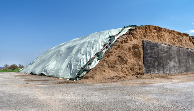 Mit heller Folie abgedeckter, gro&szlig;er Haufen Silage f&uuml;r eine Biogasanlage