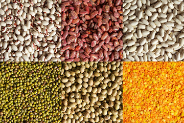 The texture of different types of legumes