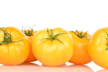 Fresh juicy organic yellow tomatoes, close-up, on a white background.