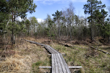 The Olmanskie Marshes Nature Reserve is the largest complex of upland, transitional and lowland marshes in Europe, which has survived to this day in its natural state.