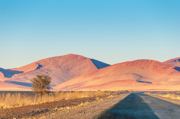 Fototapeta na wymiar Die Dünen der Wüste Namib in Namibia