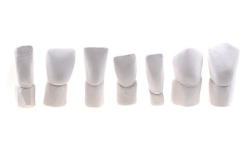 teeth gypsum models isolated
