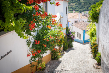 Fototapeta na wymiar Óvidos, Portugal con flores rojas