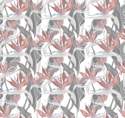 Seamless print of tropical flowers on a transparent background. Strelitzia flower in large leaves