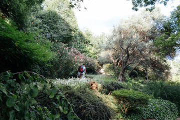 Fototapeta premium Couple walking in a park