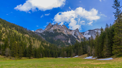 Fototapeta na wymiar Wielka Polana Małołącka w Dolinie Małej Łąki w Tatrach Zachodnich - wiosną. 