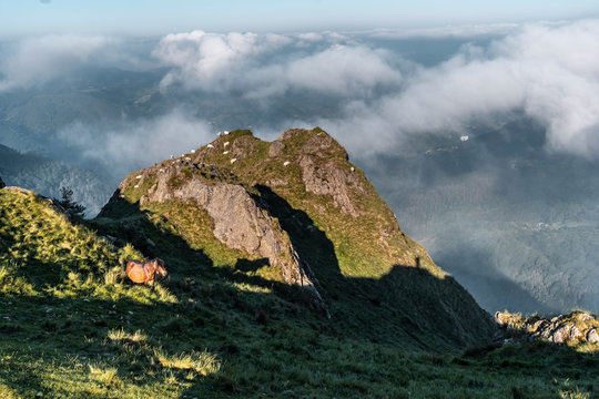 A brown horse on top of the magical mount of Peñas de Aya or also called Aiako Harria, Oiartzun. Gipuzkoa Province of the Basque Country. Vertical photo