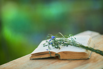 Beautiful bouquet of Linum lies in the open book on a soft green summer background of summer...