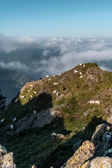 Fototapeta na wymiar A herd of Sheep on top of Peñas de Aya or also called Aiako Harria at dawn, Oiartzun. Gipuzkoa Province of the Basque Country. Vertical photo