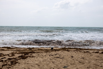 Fototapeta na wymiar bad weather. storm waves at sea on the tropical sandy coast