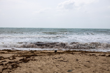 bad weather. storm waves at sea on the tropical sandy coast