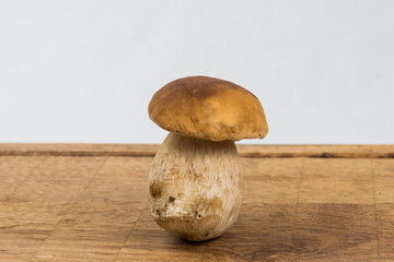 Freshly picked boletes.