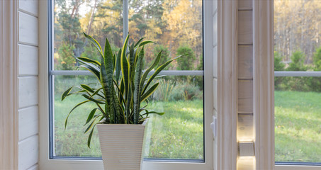 Bright photo studio interior with big window, high ceiling, white wooden floor