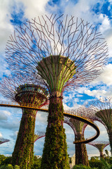 Golden hour over the supertrees and the walkway in the Supertree Grove in Garden by the Bay, Singapore.