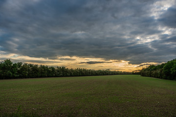 sunset over the field