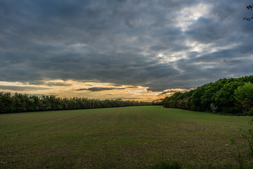 sunset over the field