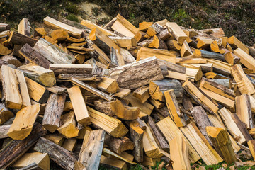 A pile of chopped firewood ready for stacking.