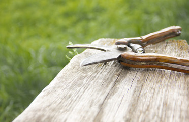 hand tools concept. vintage iron secateur. Old German hand tool on a wooden background over the grass. free space, place for text