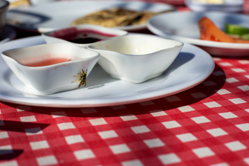 a bee eating jam of the breakfast table.