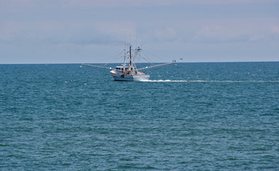 Seeking a Good Catch