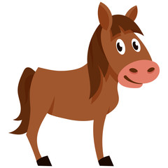 Standing funny foal. Farm animal in cartoon style.