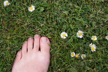 Barefoot with Flowers, Dandelion and Grass