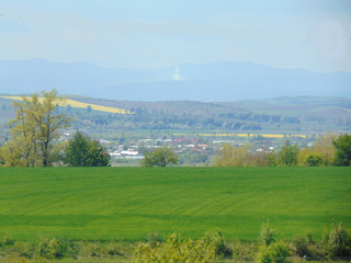 Fototapeta premium rural landscape with green grass and blue sky