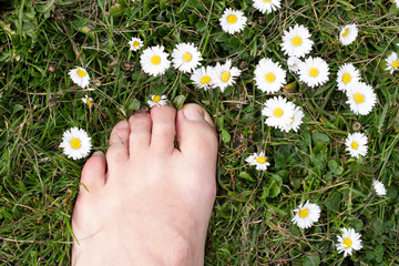 Barefoot with Flowers, Dandelion and Grass