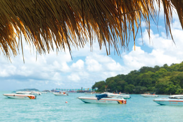 Dry Vetiver roof of hut at the sea.