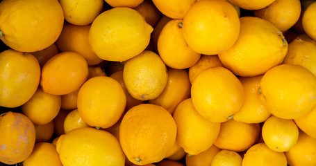 A pile of very delicious exotic fruite lemon, citrus family.