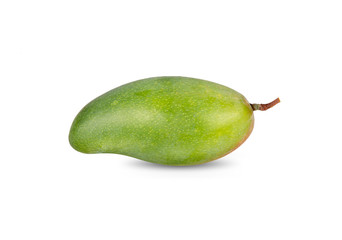 whole fresh mango with stem on white background