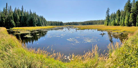 Fundy National Park, located near Alma on the Bay of Fundy in New Brunswick, © robnaw
