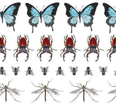 Wildlife insects Seamless Pattern on White Background Horizontal Stripes, Fun Summer Fly, Butterfly, Beetle, Mosquitos Textile Print